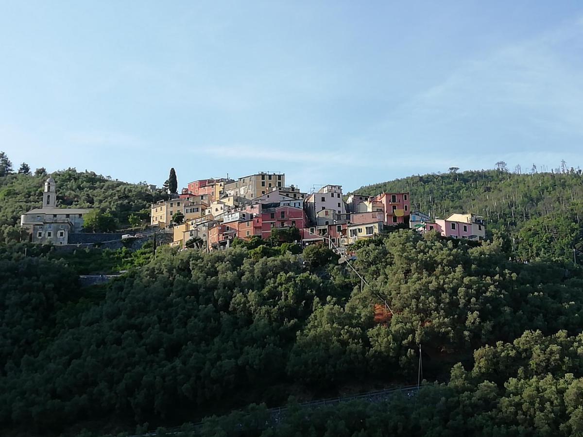 Casa Lorenzo Sulle Colline Di Levanto E Vicino Alle Cinqueterre Lt-0620 Buitenkant foto